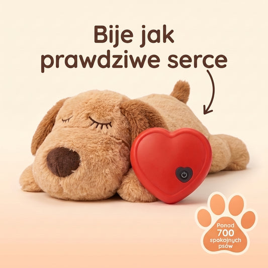 Pluszak z bijącym sercem